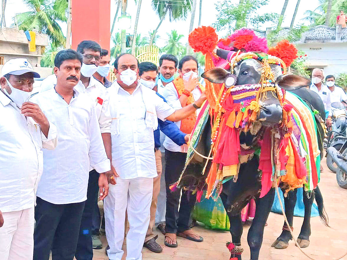 Bhogi Celebrations in Andhra Pradesh - Sakshi10