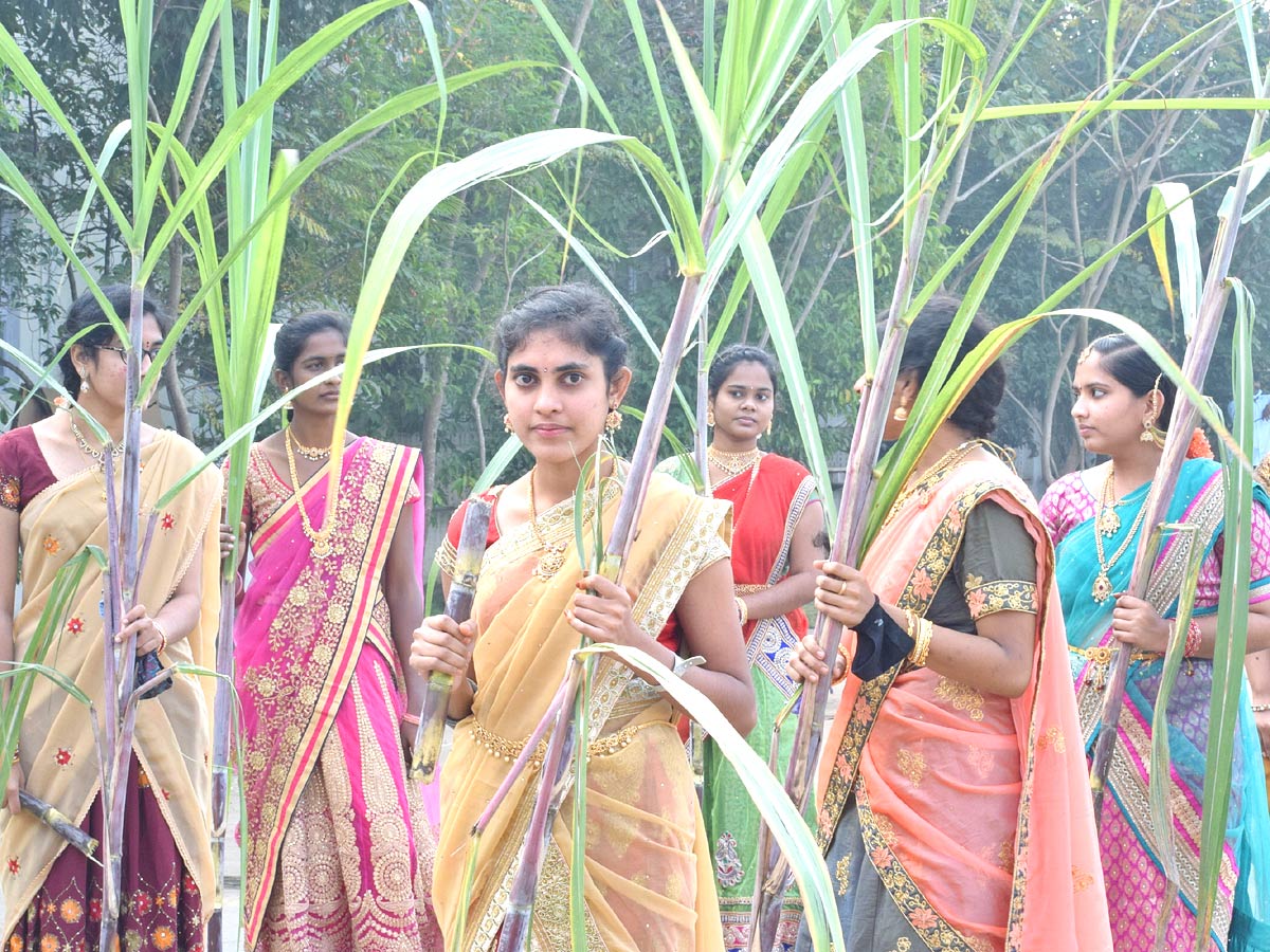 Bhogi Celebrations in Andhra Pradesh - Sakshi12