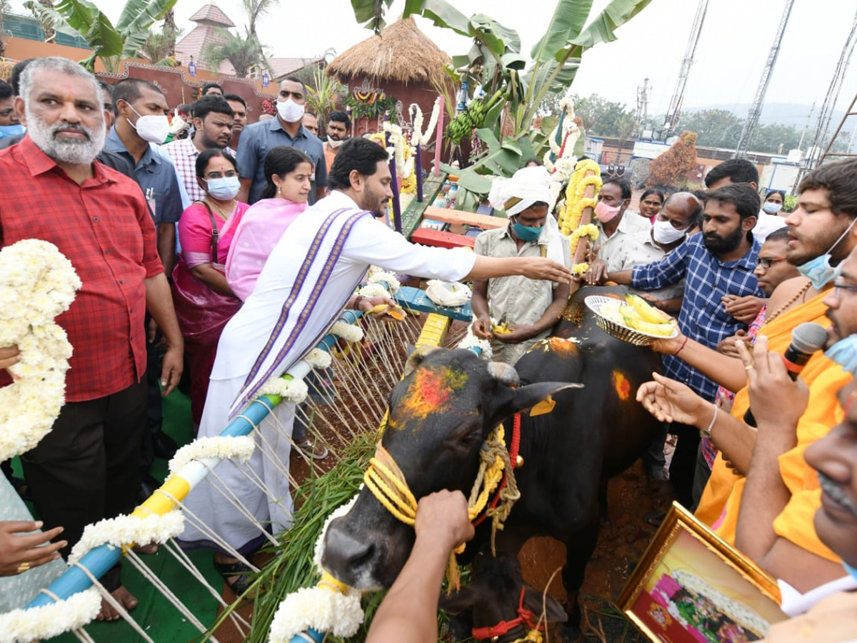 YS Jagan participates in Sankranti celebrations at Tadepalli - Sakshi29