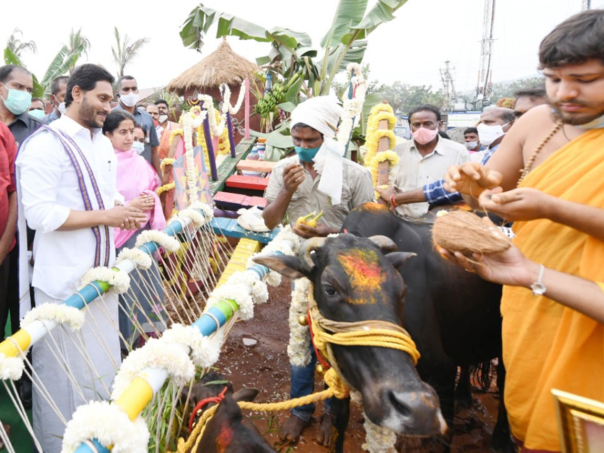 YS Jagan participates in Sankranti celebrations at Tadepalli - Sakshi16