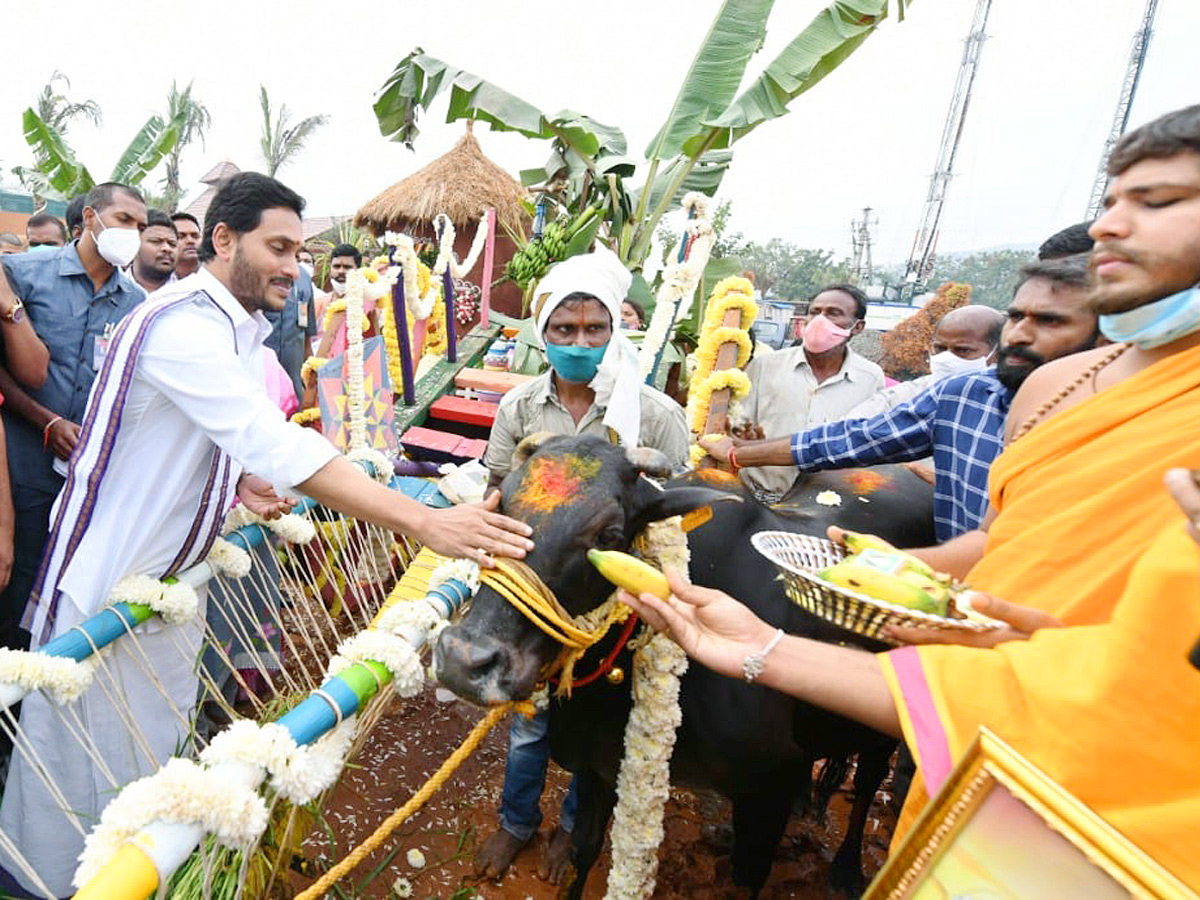 YS Jagan participates in Sankranti celebrations at Tadepalli - Sakshi19