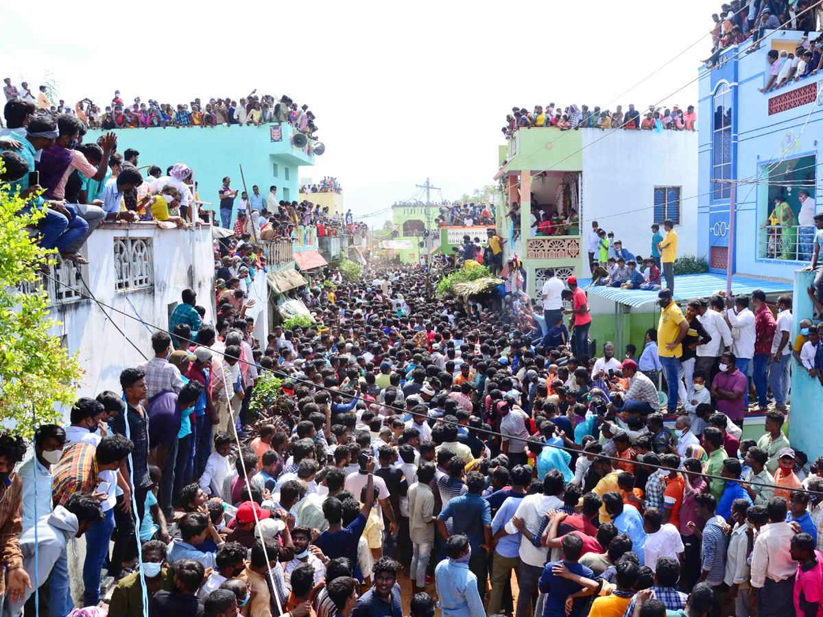 Jallikattu festival in chittoor district Photo Gallery - Sakshi19