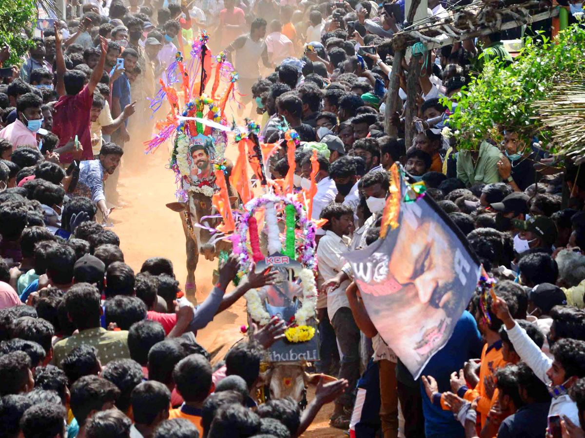 Jallikattu festival in chittoor district Photo Gallery - Sakshi5