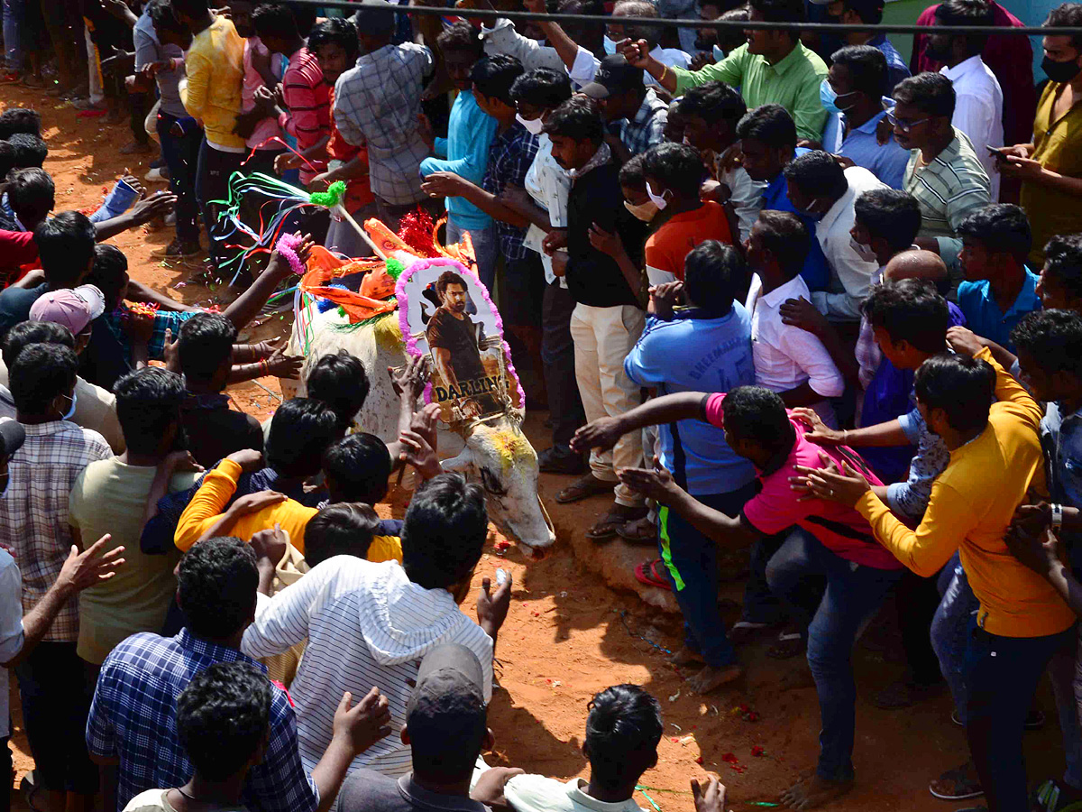 Jallikattu festival in chittoor district Photo Gallery - Sakshi7