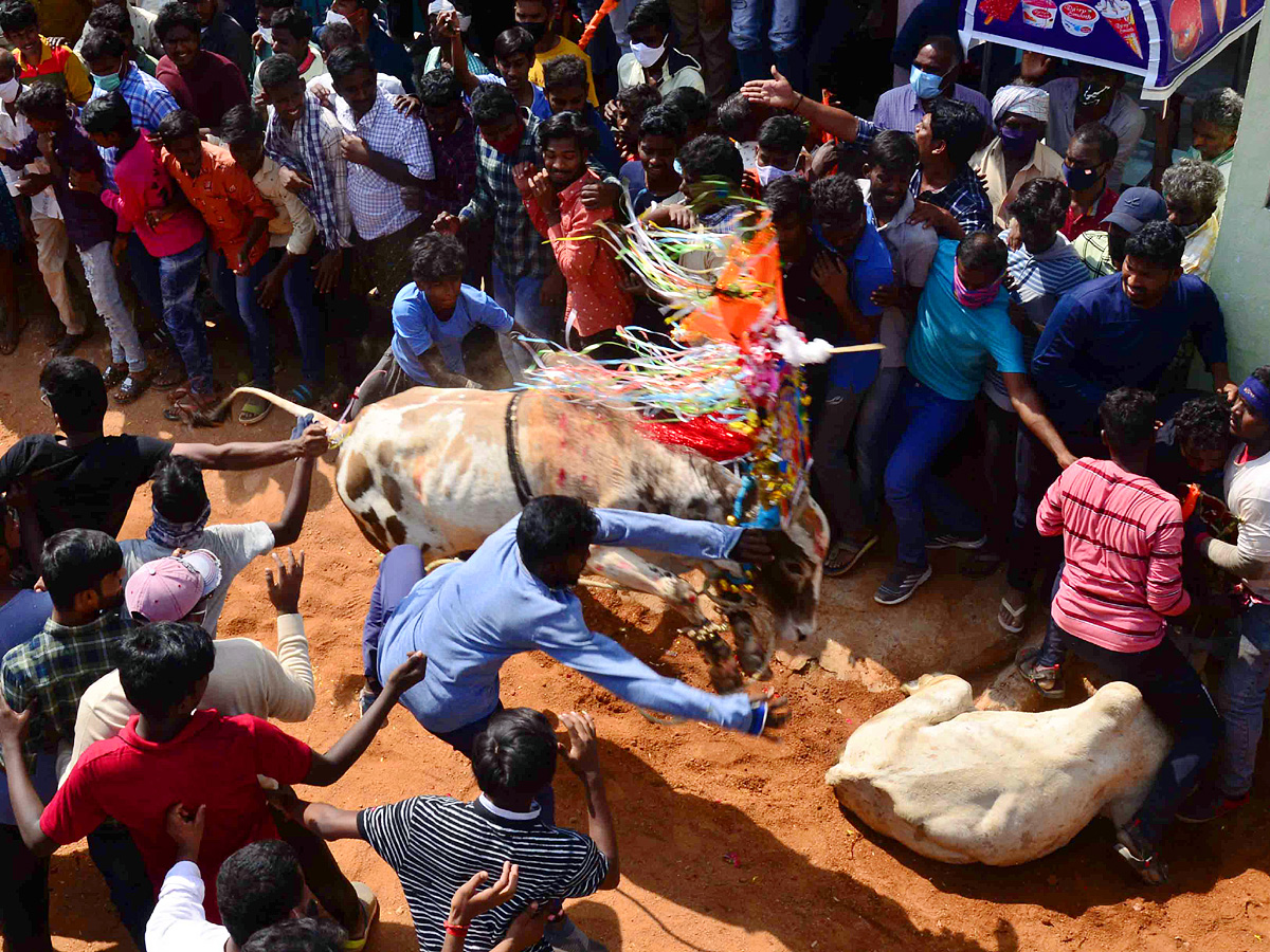 Jallikattu festival in chittoor district Photo Gallery - Sakshi9