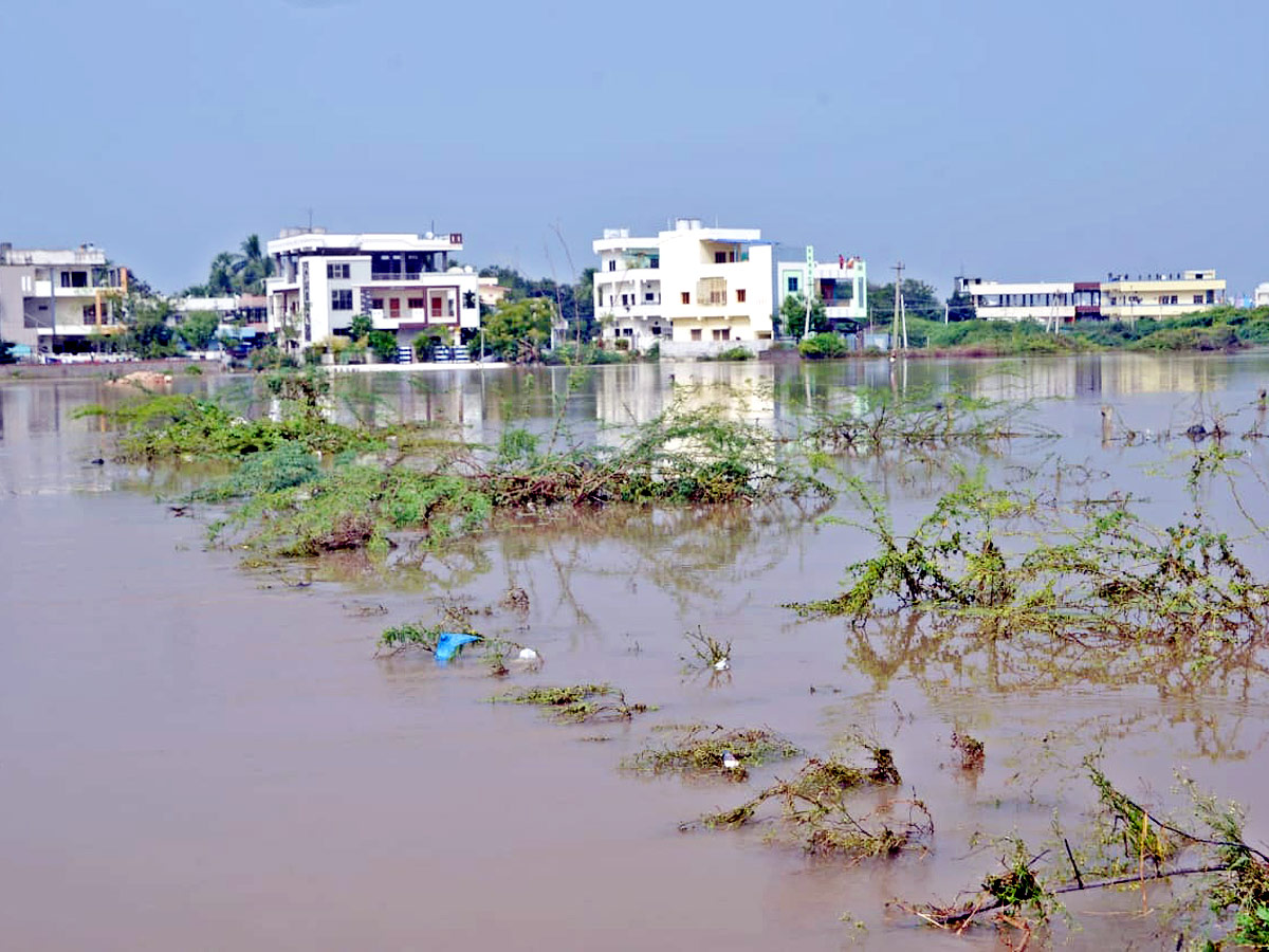 Heavy Rain In Suryapeta Photo Gallery - Sakshi14