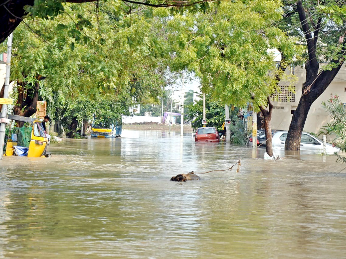 Heavy Rain In Suryapeta Photo Gallery - Sakshi5