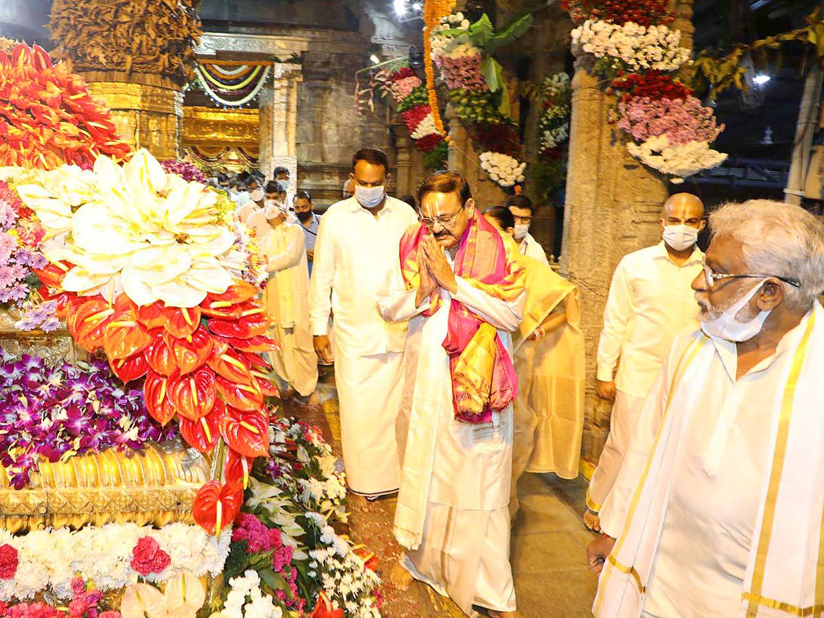 Vips Visit To Tirumala Photos - Sakshi4