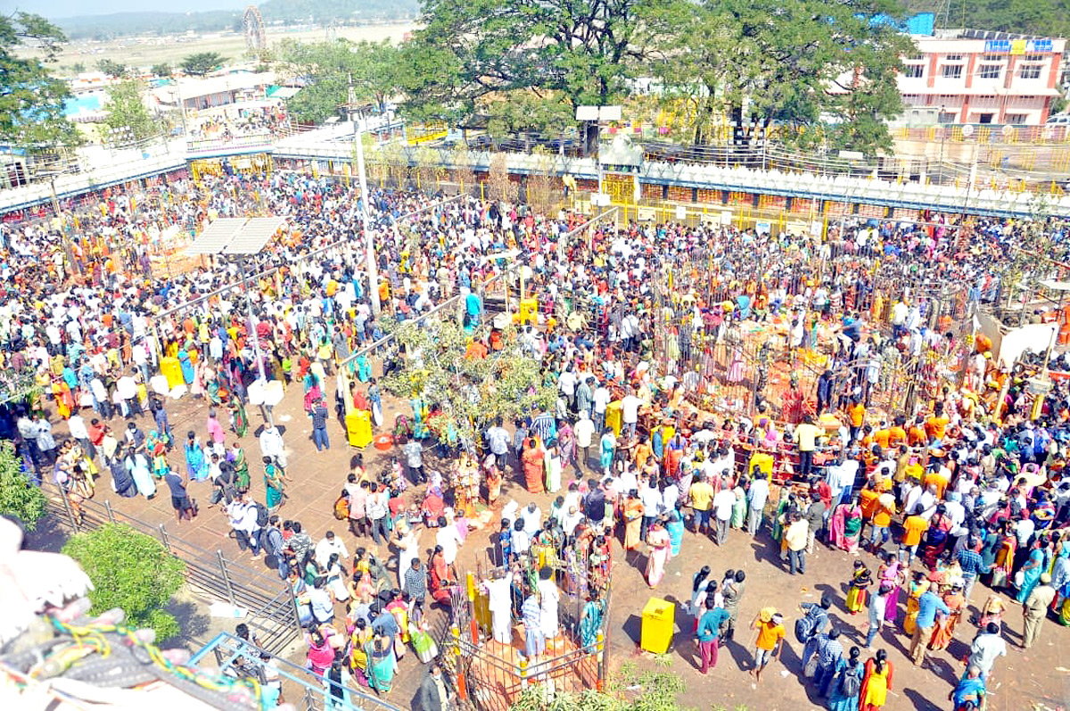 Heavy Rush With Devotees at Medaram Jatara - Sakshi2