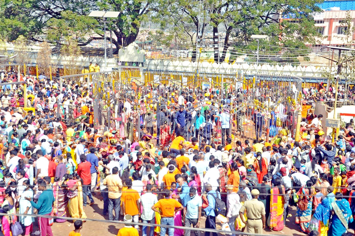 Heavy Rush With Devotees at Medaram Jatara - Sakshi4