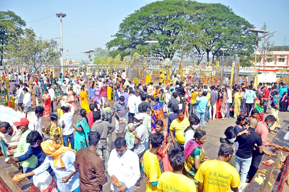 Heavy Rush With Devotees at Medaram Jatara - Sakshi6