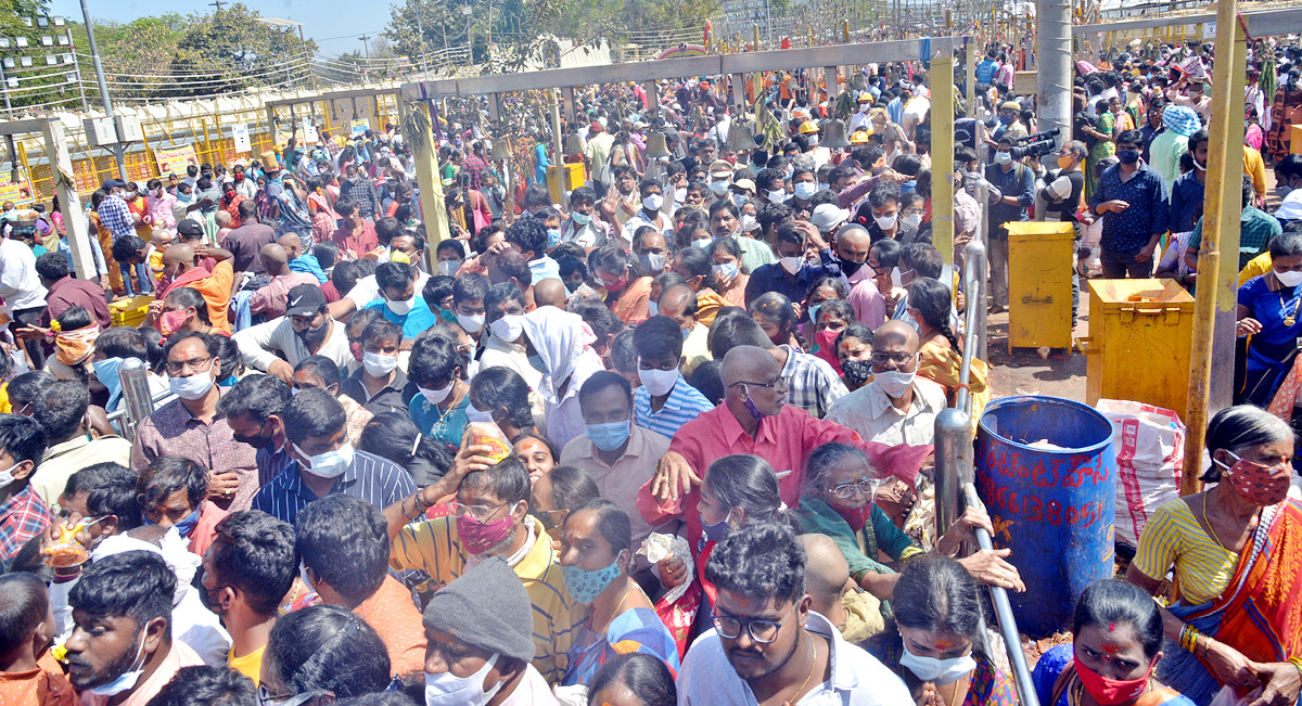 Heavy Rush With Devotees at Medaram Jatara - Sakshi28