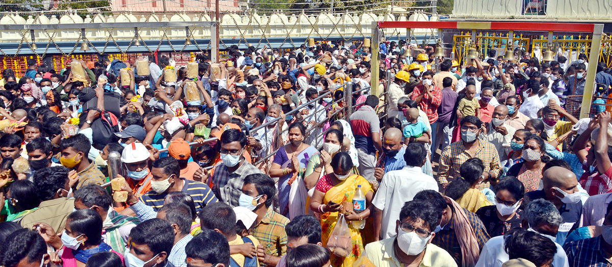 Heavy Rush With Devotees at Medaram Jatara - Sakshi31