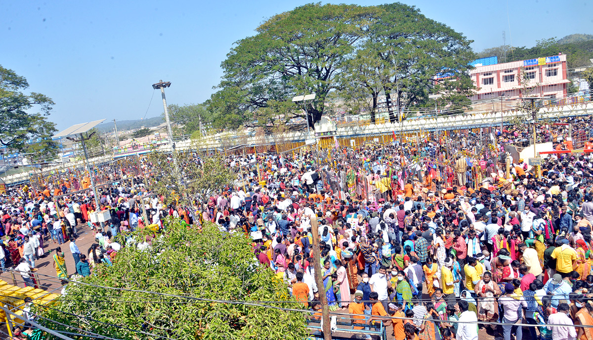 Heavy Rush With Devotees at Medaram Jatara - Sakshi33