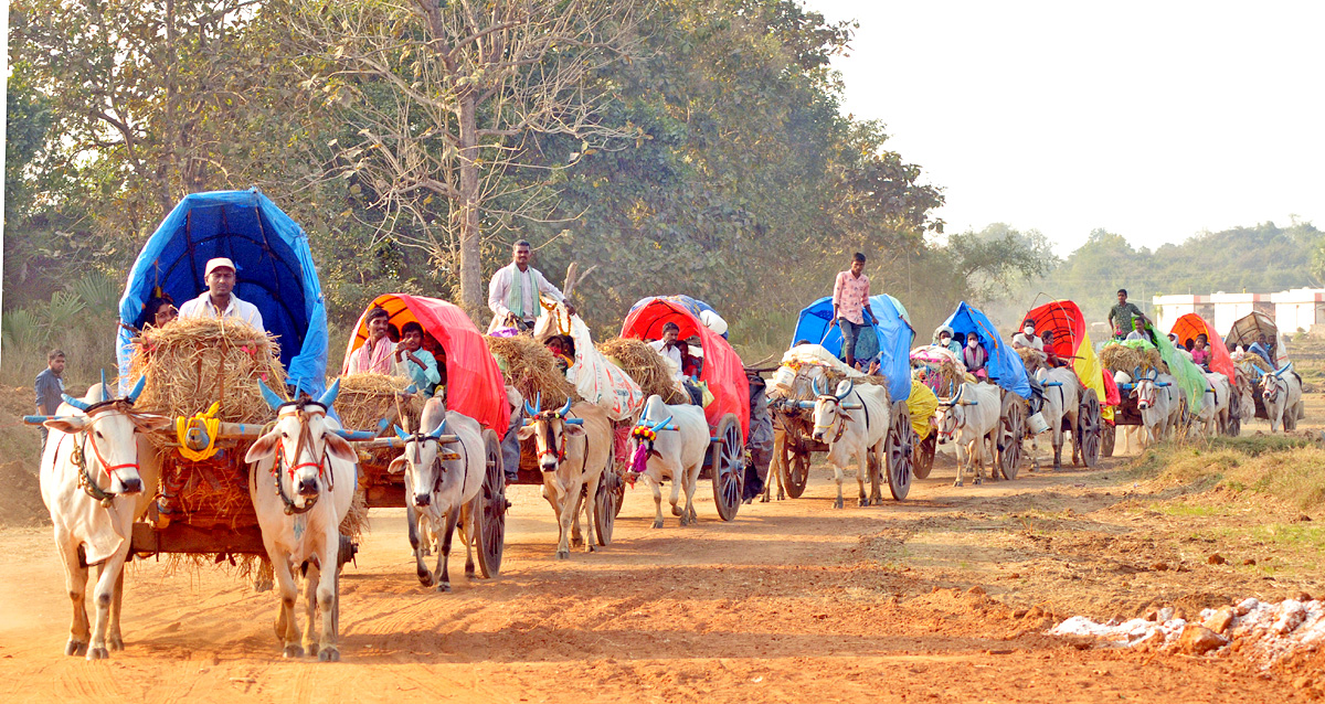 Huge Rush Of Devotees At Medaram Jatara - Sakshi1