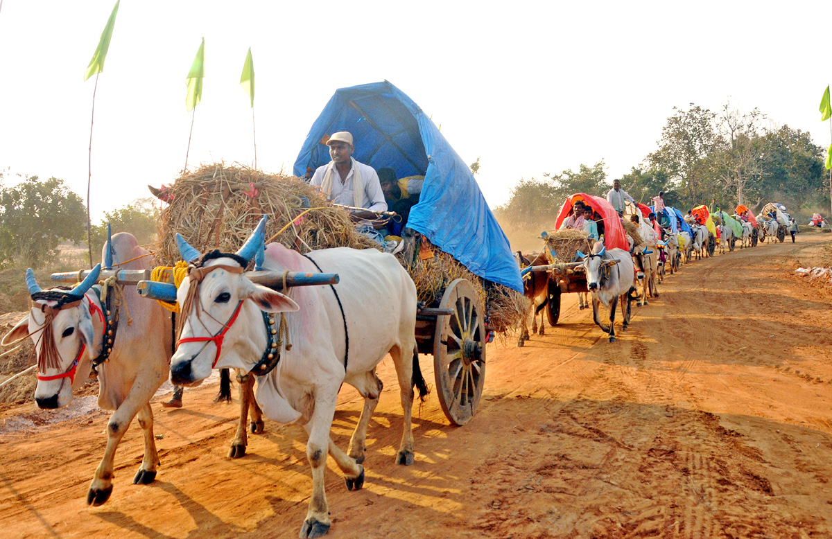 Huge Rush Of Devotees At Medaram Jatara - Sakshi2