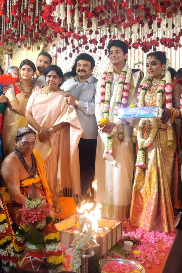 Producer Anbuselin's Daughter wedding Photo Gallery - Sakshi14