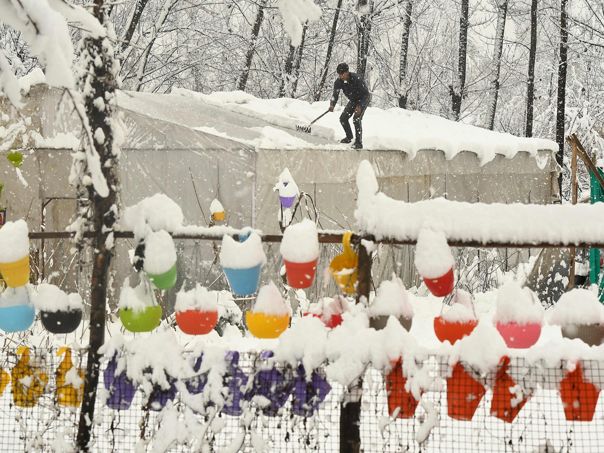 Heavy Snowfall in Jammu Kashmir Photo Gallery - Sakshi10