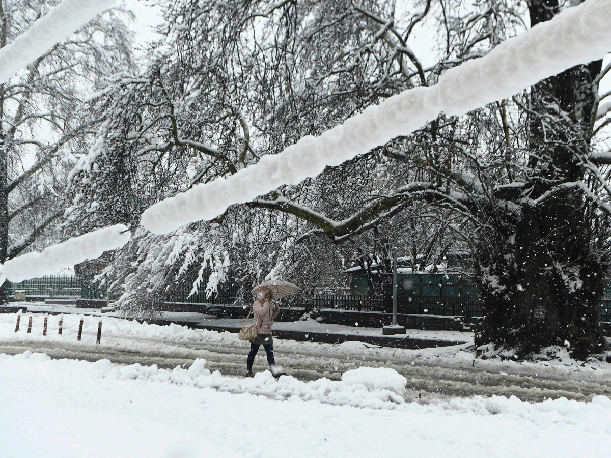 Heavy Snowfall in Jammu Kashmir Photo Gallery - Sakshi11