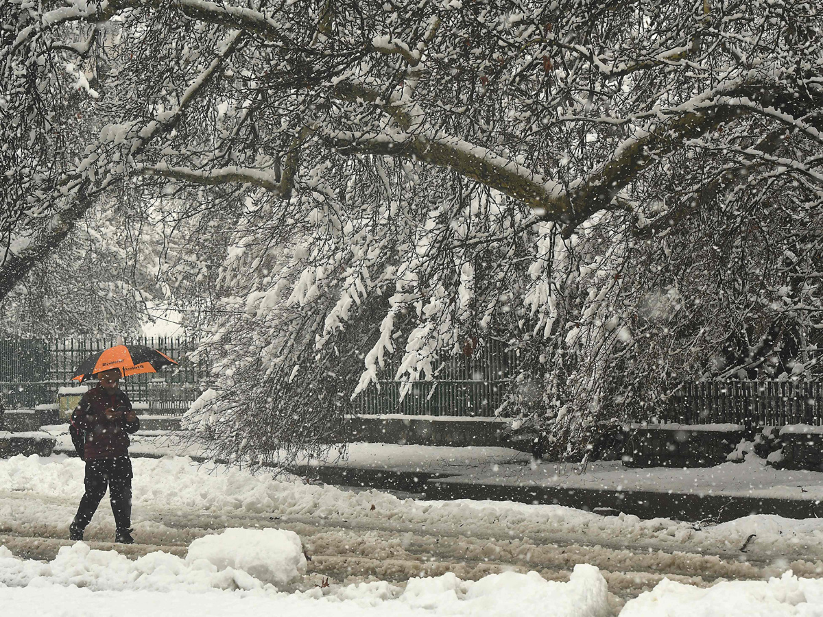 Heavy Snowfall in Jammu Kashmir Photo Gallery - Sakshi14