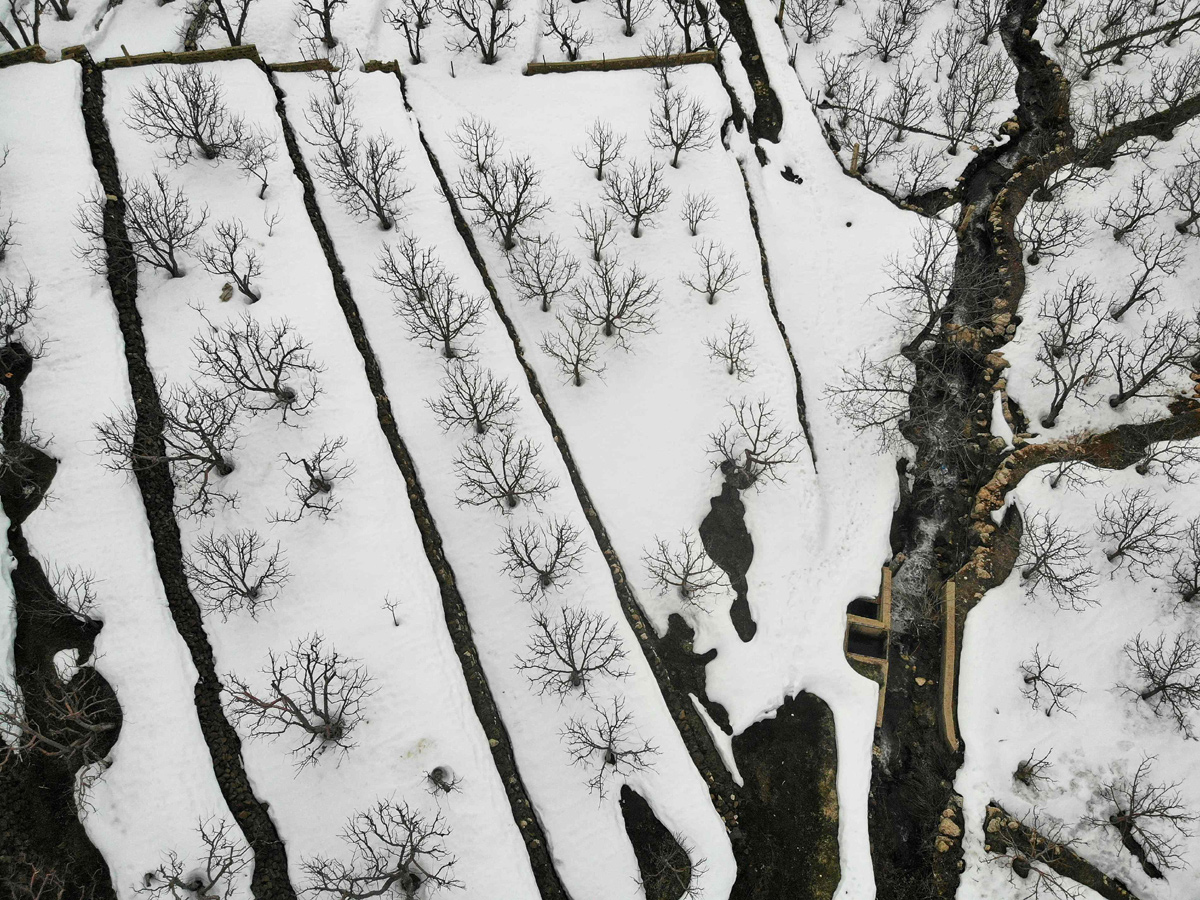 Heavy Snowfall in Jammu Kashmir Photo Gallery - Sakshi3