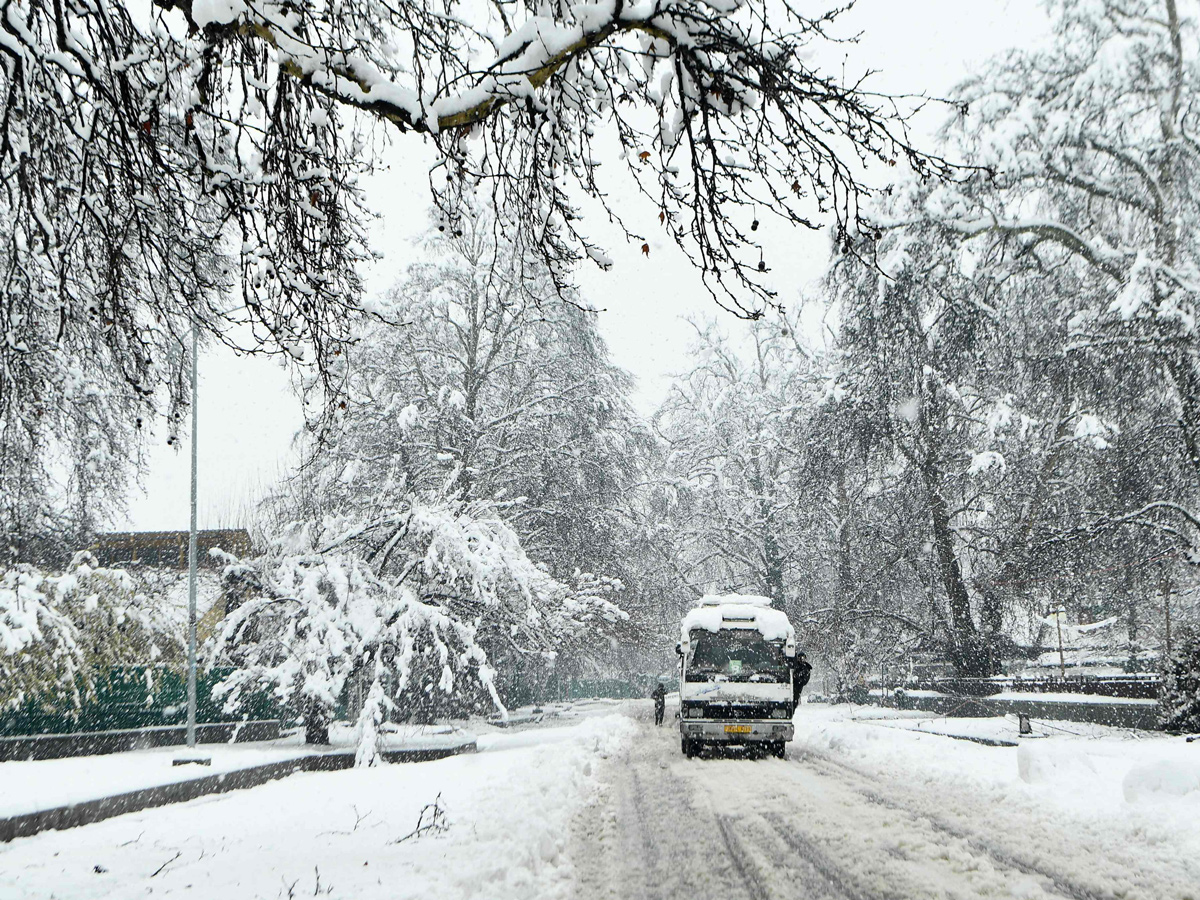 Heavy Snowfall in Jammu Kashmir Photo Gallery - Sakshi1