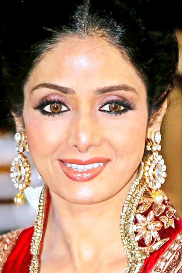 Sridevi 4rth Death Anniversary: Beautiful Photos Of Late Actress Sridevi Photo Gallery - Sakshi11