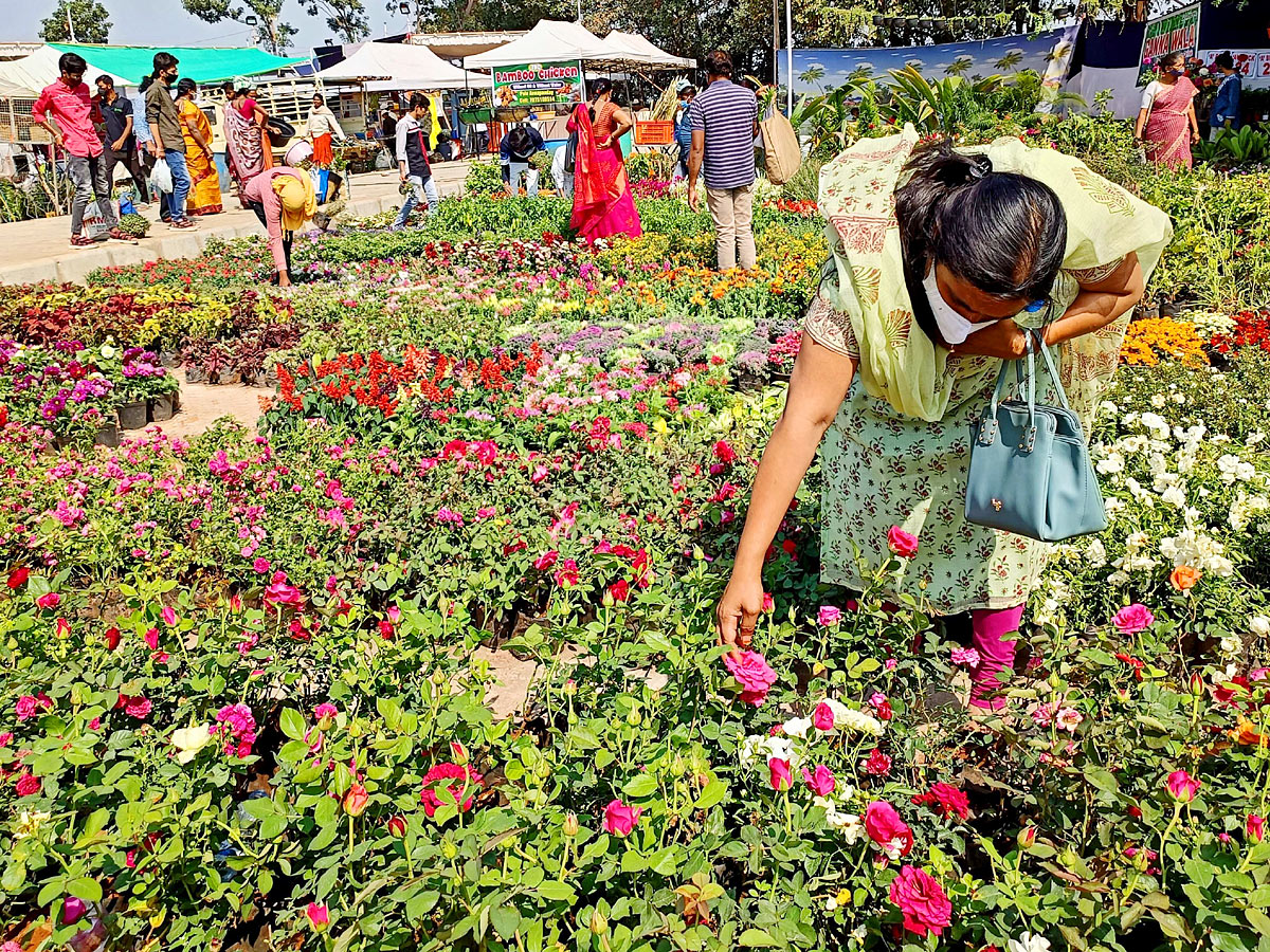 11th Grand Nursery Mela at Peoples Plaza Photo Gallery - Sakshi1