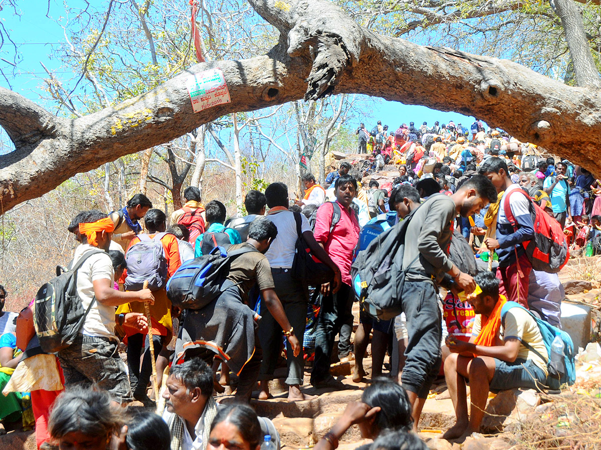 Lord Shiva Devotees Padayatra to Srisailam photo Gallery - Sakshi14