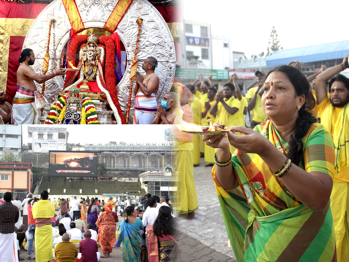 Rathasaptami Celebrations In Thirumala Photo Gallery - Sakshi1