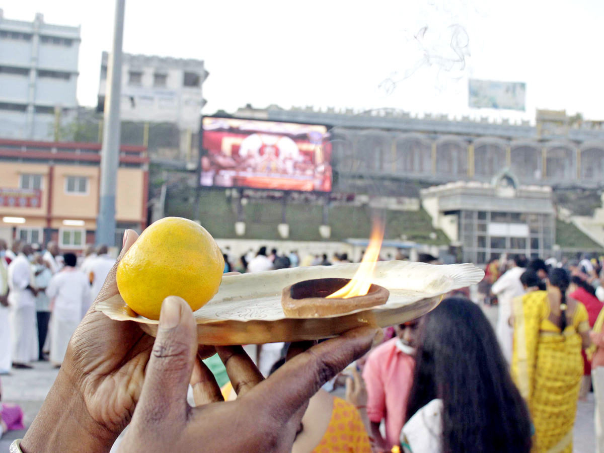 Rathasaptami Celebrations In Thirumala Photo Gallery - Sakshi18