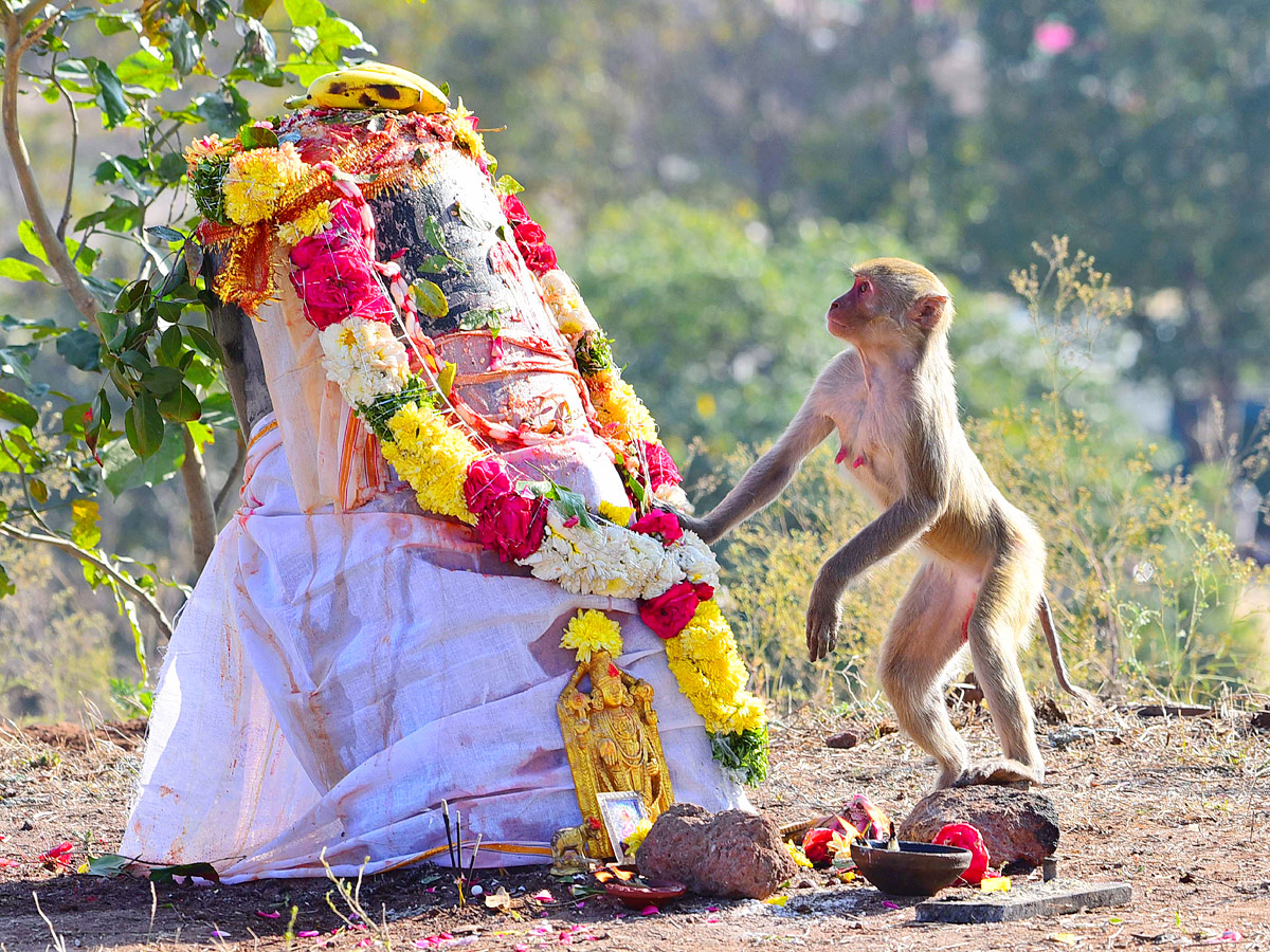 Keesaragutta Temple Photos - Sakshi11