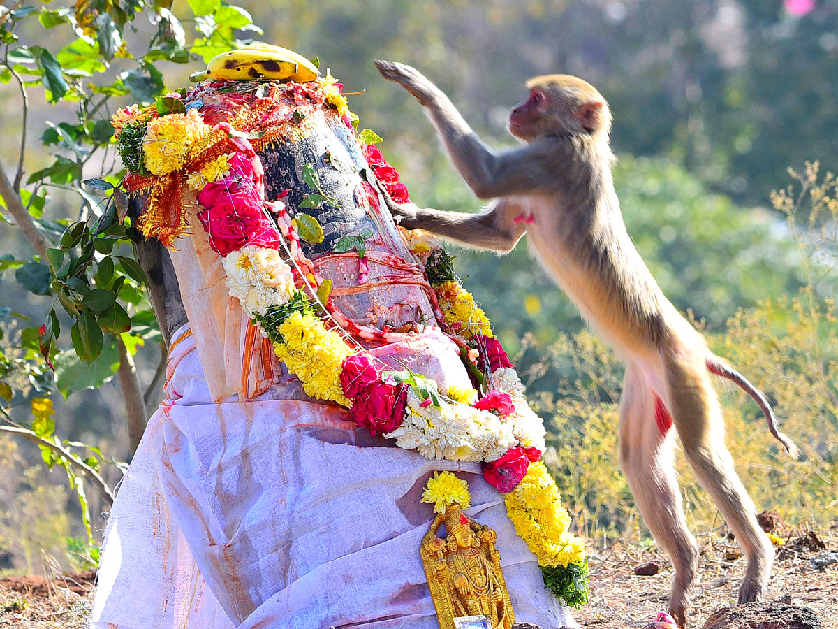 Keesaragutta Temple Photos - Sakshi14