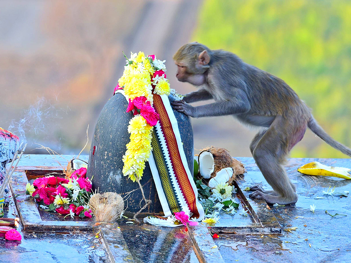 Keesaragutta Temple Photos - Sakshi18