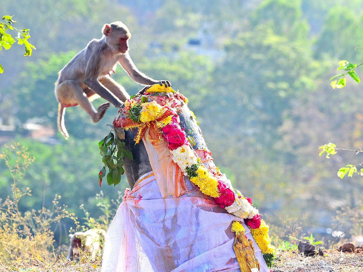 Keesaragutta Temple Photos - Sakshi9