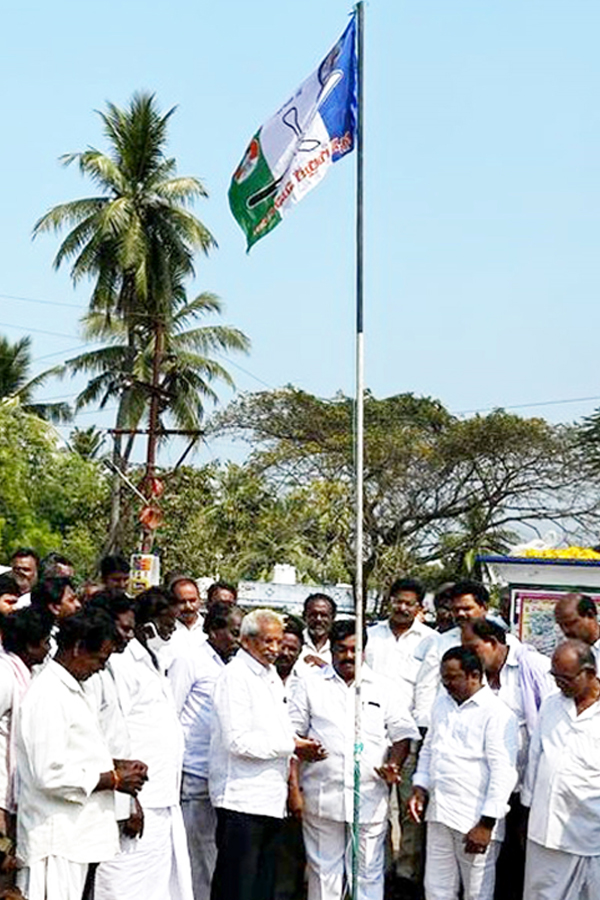 YSR Congress 12th Formation Day Celebrations Photo Gallery - Sakshi10