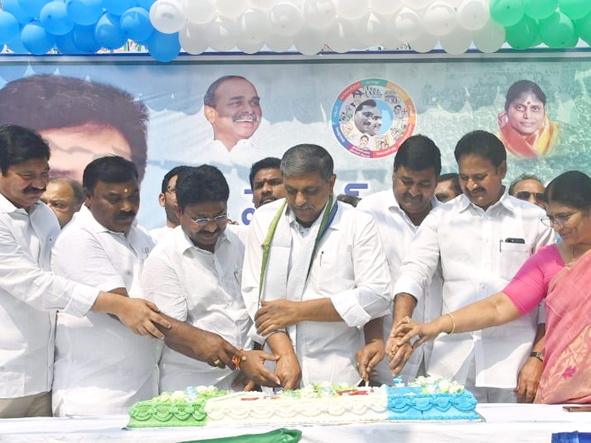 YSRCP Celebrates Formation Day Photos - Sakshi3