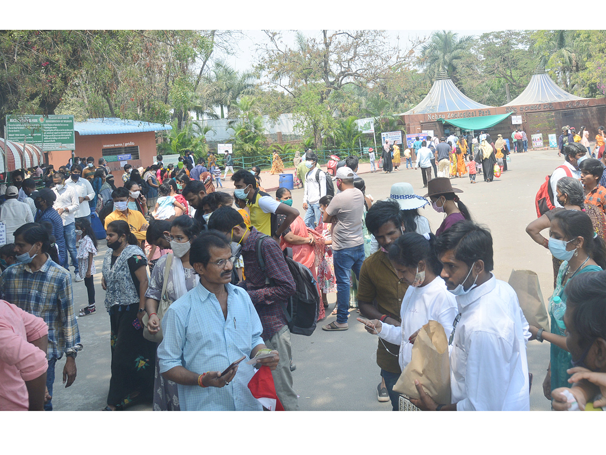 Sunday Funday Nehru Zoological Park Photo Gallery - Sakshi2