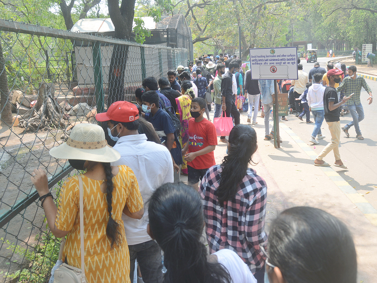 Sunday Funday Nehru Zoological Park Photo Gallery - Sakshi11