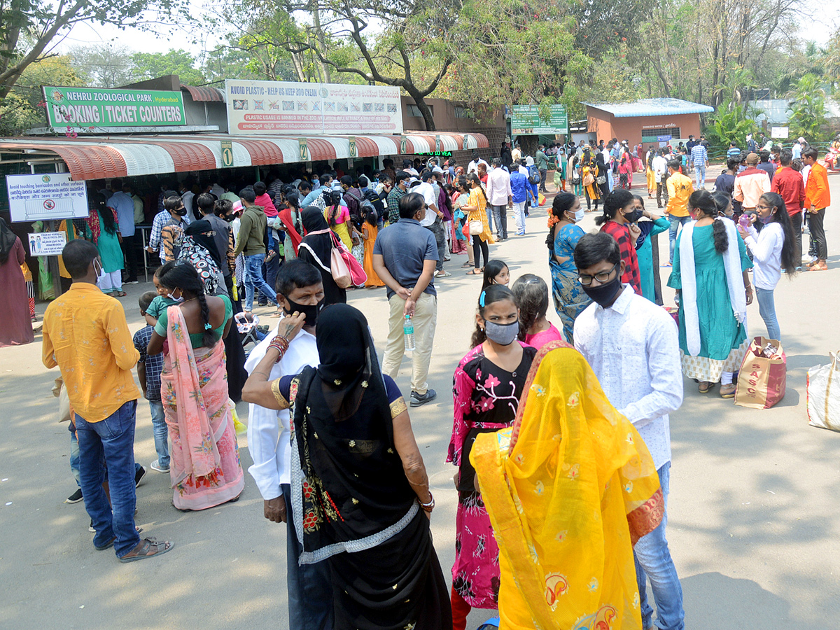 Sunday Funday Nehru Zoological Park Photo Gallery - Sakshi4