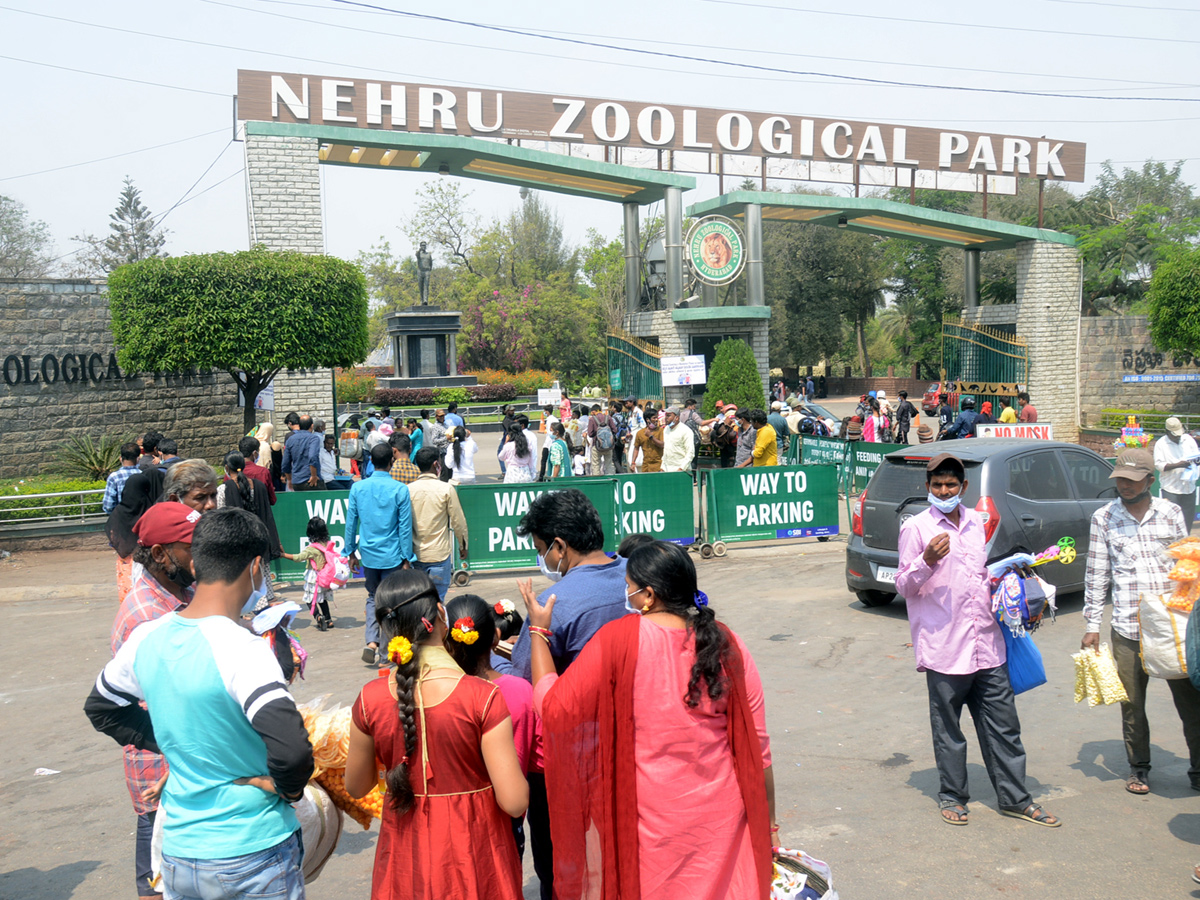 Sunday Funday Nehru Zoological Park Photo Gallery - Sakshi1