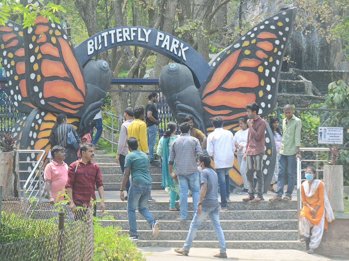 Sunday Funday Nehru Zoological Park Photo Gallery - Sakshi8