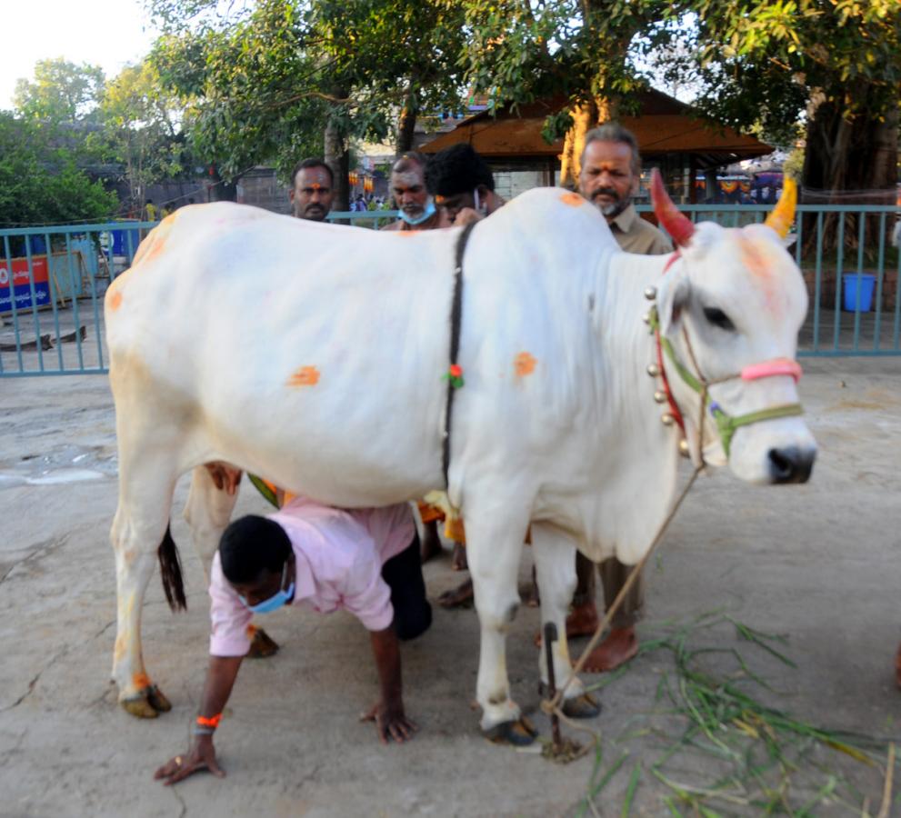 Maha Shivratri Photos  - Sakshi17