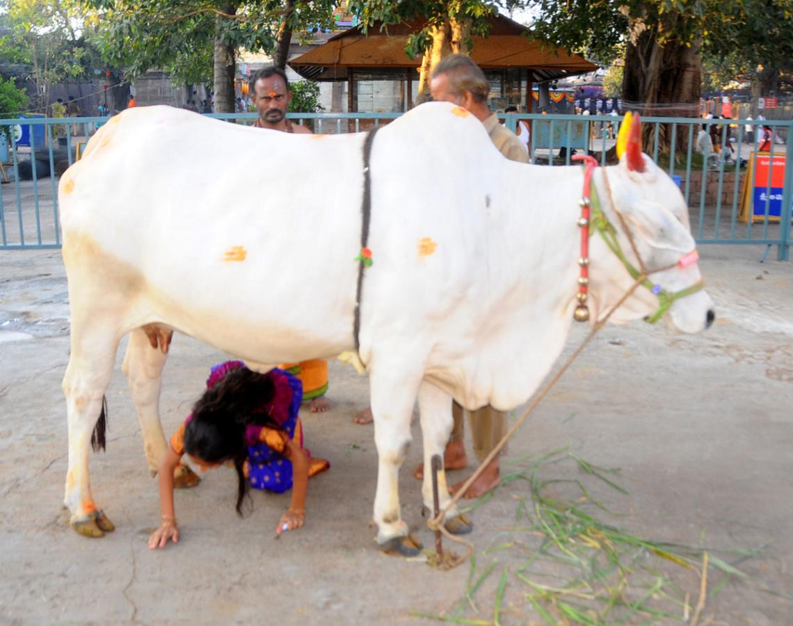 Maha Shivratri Photos  - Sakshi18