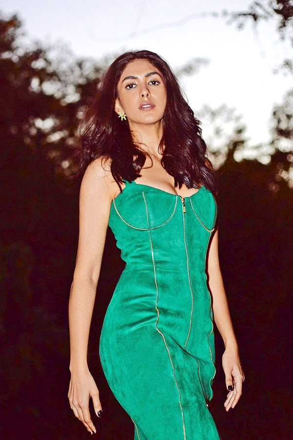 Bollywood Actress Mrunal Thakur Photo Gallery - Sakshi19