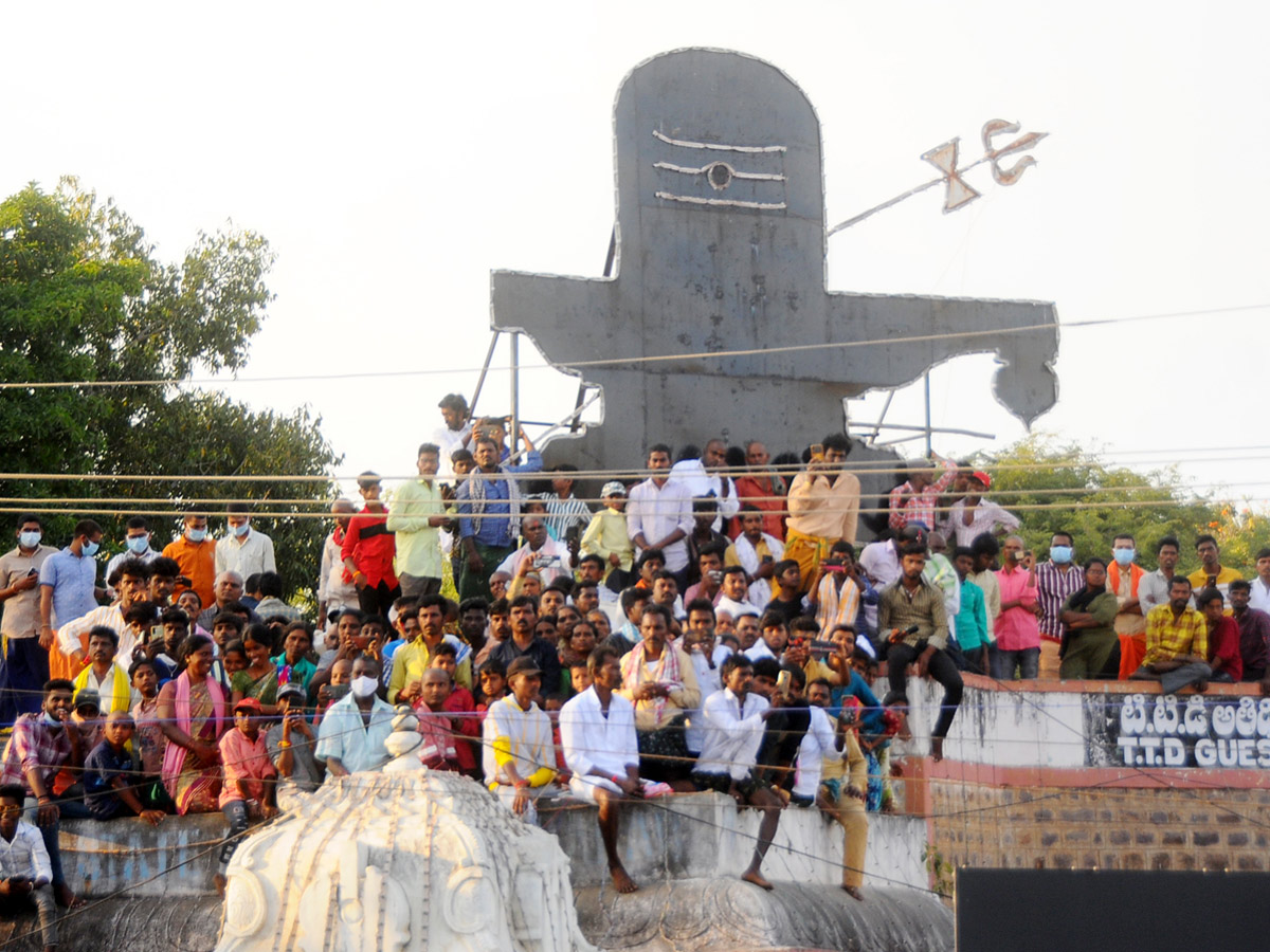 Rathotsavam Celebrations In Srisailam Photo Gallery - Sakshi14