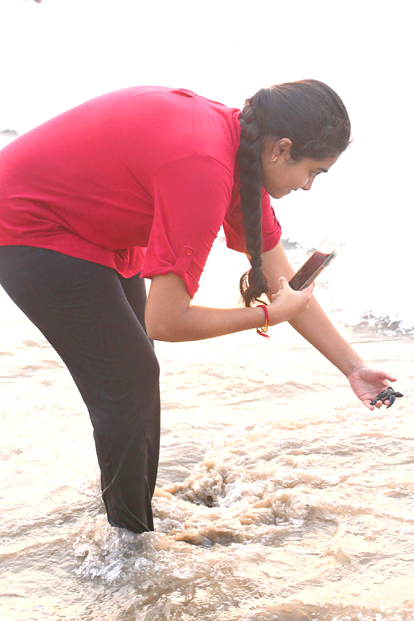 Turtle in Visakhapatnam Beach Pics - Sakshi20