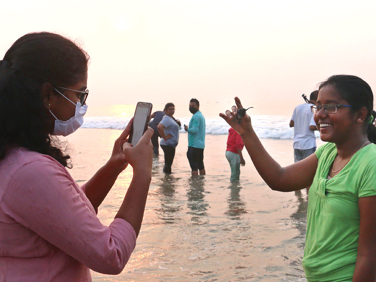 Turtle in Visakhapatnam Beach Pics - Sakshi4