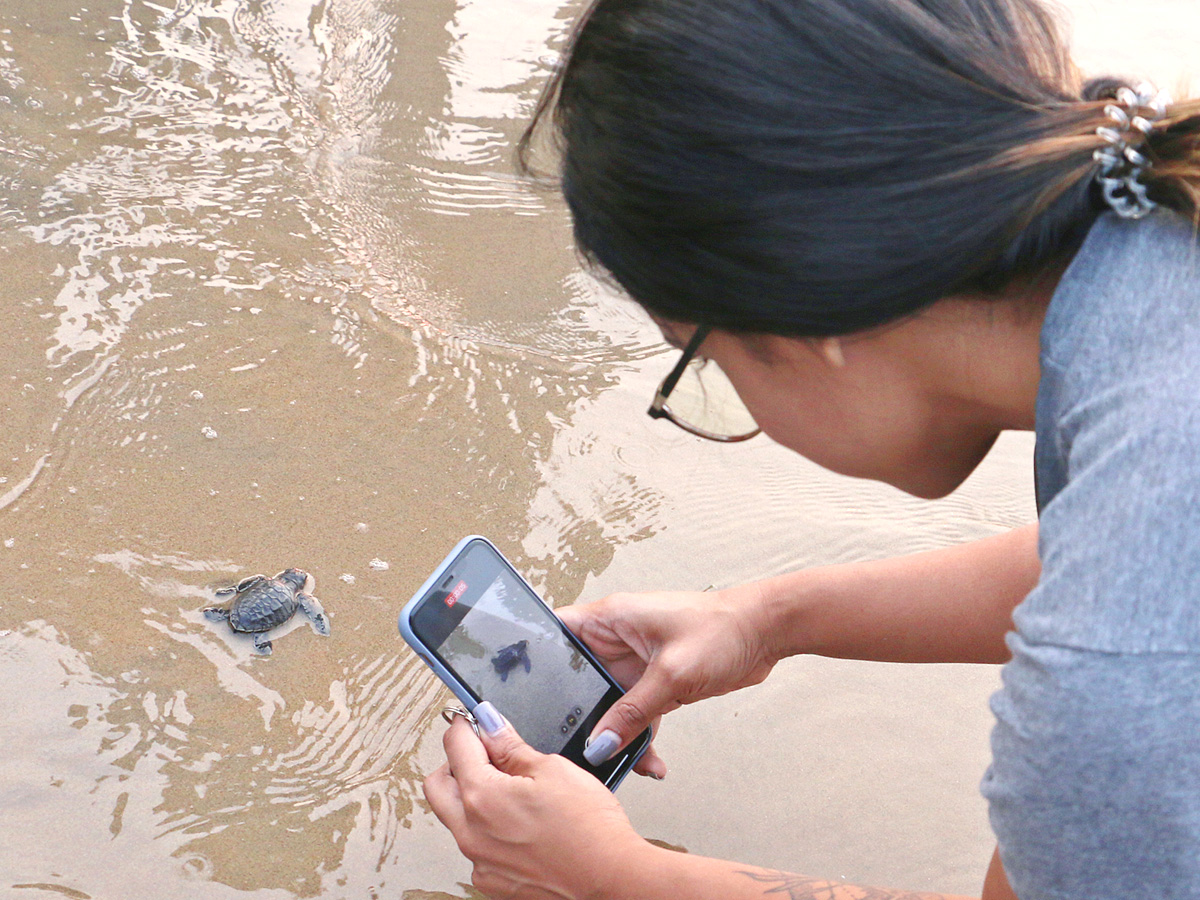 Turtle in Visakhapatnam Beach Pics - Sakshi6