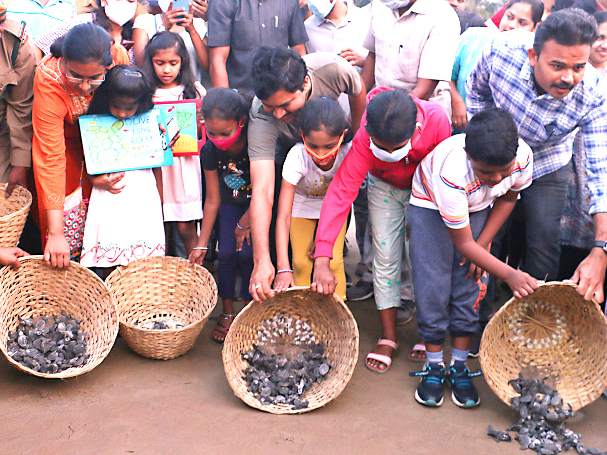 Turtle in Visakhapatnam Beach Pics - Sakshi9